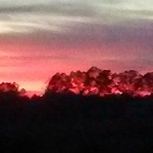 Meet your Posher, Brandy